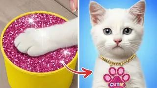 MY KITTEN&rsquo;S BIRTHDAY 😻🎉 | Cute Cat Beauty Hacks & DIY Crafts by 123GO!