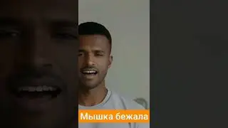 Мышка бежала                  RapVibe
