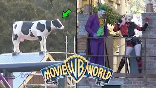 Movie World | COW in WIZARD OF OZ LAND, New Rides Update & MORE!