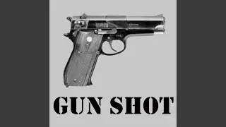 Gunshot Ringtone/Text Alert Sound Effect