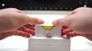 Unboxing a 2024 UFC Royalty