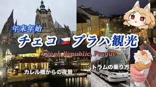 【チェコ🇨🇿】冬のプラハ観光&年越し【電車・トラムの乗り方】Czech Republic, Prague