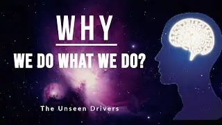 Why Do We Do What We Do? Unpacking Everyday Human Behavior