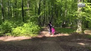 RuheForst&reg; Marburger Land - Gemershausen