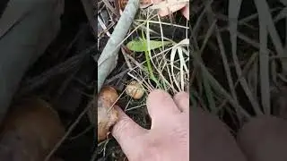 И тут о рыбалке 🐟