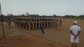 Pop practice rtc karera part 1
