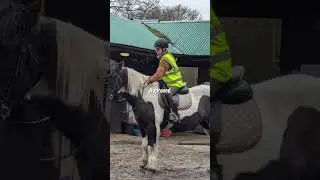 #equestrian#horse#pony#approved#trend#funny#relatable#Casper#Daisy#Nina#Bella#😁😁