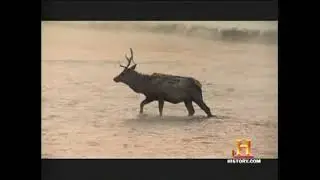 Last Days On Earth (20/20 Special in 2006) - Part 4 of 12