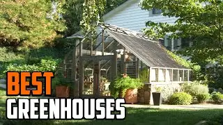 Best Greenhouses in 2025(Top 10 Picks)
