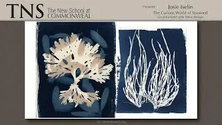 Josie Iselin - The Curious World of Seaweed