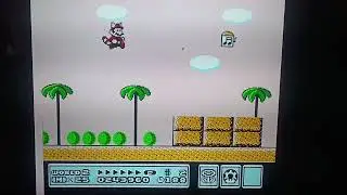 Retro 1988 Nintendo NES Super Mario Bros 3 World 2 Hammer brother 2 Sunday January 11th 2026