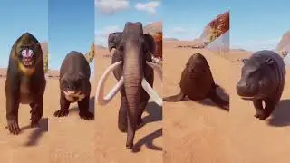 Random Animals Speed Races in Planet Zoo | Hippo, Mandrill, Otter, Sea Lion, Mammoth