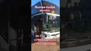 санкт-петербург-москва Бухара автобус #automobile #тикток #music #art #podcast #новости #дальнобой