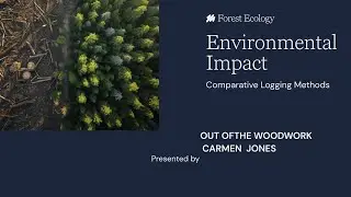Sustainable forestry summary