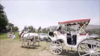 CHRISTIAN SORIA WEDDING PLANNER(Reel 2016)