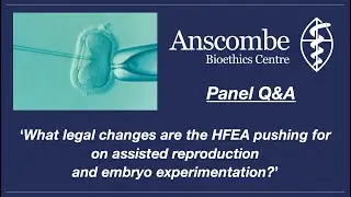 The HFEA & Embryo Research (Q&A Panel, March 2023)