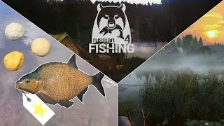 Trophyjagd Brachse - Ehrenfischer Alte Festung | Russian Fishing 4
