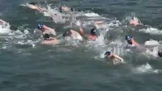 小鐵人Sean 2015-9-6 Blue Seventy Ocean Swim Series Race 2 - 南灣