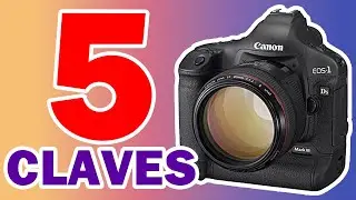 5 Tips de Fotografía que los Principiantes Ignoran