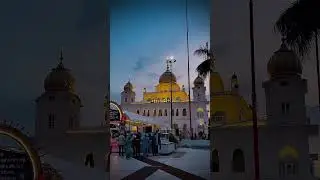 Ftehgarh Sahib Ji  💕🌺 #shortvideo #Fatahgarhsahib #shorts