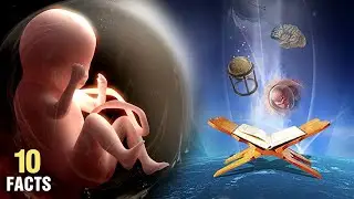 Top 10 Surprising Miracles In The Holy Quran - Compilation