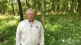 Kentucky Division of Forestry