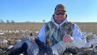 2021 Snow Goose Conservation