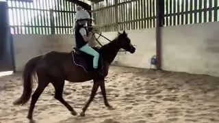 Slowing down the trot with no reins #learningtoride #littlebettysridingjourney