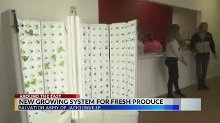 New hydroponic growing system will help local Salvation Army feed more people