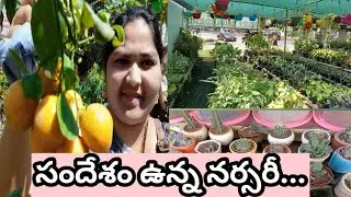 Nursery Visit in Guntur...#nurseryvisit #guntur