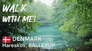 Ballerup Denmark &mdash; Rainy Forest Walk in Hareskov | Walking Tour