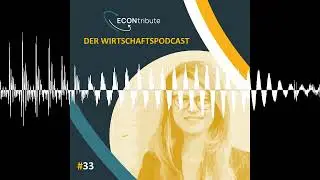 #33: Was kosten Naturkatastrophen Betroffene? - Der Wirtschaftspodcast