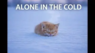 &ldquo;Alone in the Snow &mdash; A Silent Story of Survival and Hope&rdquo;