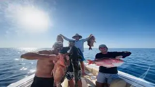 Epic Offshore Fishing for Big Grouper, Snapper and Cobia