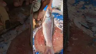Popular Rohu Fish Cutting Live: in Local Fish Market 😱😱 || #shorts #fishcutting_skills