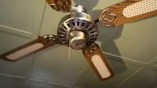 Golden Fan (View Fan) 52
