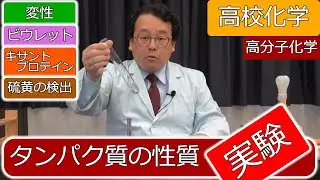タンパク質　性質　変性　呈色　ビウレット反応　キサントプロテイン反応　硫黄反応　エンジョイケミストリー　151307