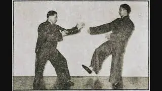 19 Tung Yang Style Applications