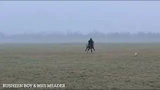 Gallops 10/01/2026- Birkett Racing