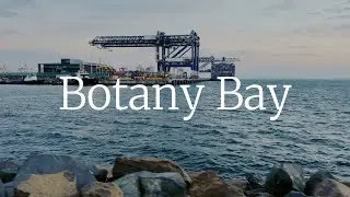 [4K] Sydney Botany Bay Jetty Walk | Ships, Planes, Port Views & Sunset | Ambient Sounds