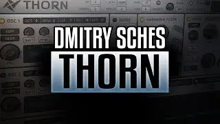 Dmitry Sches Thorn: Quick Introduction!