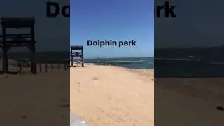 Dolphin Park Swakopmund