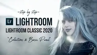 Lightroom Classic 2020-Collections and Basic Panel
