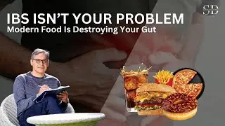 IBS Isn&rsquo;t Your Problem Modern Food Is Destroying Your Gut!