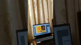 Brand Identity