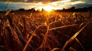 L'annulaire - Beth Gibbons