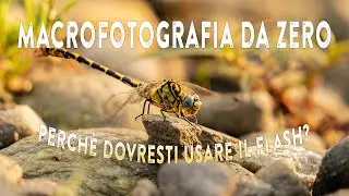 MACROFOTOGRAFIA da ZERO: perch&egrave; dovresti usare un flash!