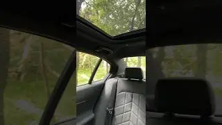 2024 new BMW 5series interior sunroof Крыша #sunroof #bmw5series #carinterior #forest