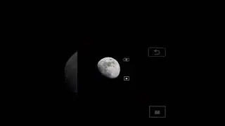 Canon 500mm f4.5 L vs iPhone 15 Pro