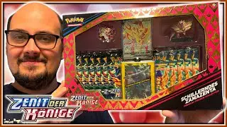 Auch ENDE 2024 noch eine Schillerndes Zamazenta Kollektion - Zenit der Könige - Pokemon TCG Opening